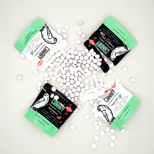 4 pack bundle of all four flavors in the new and improved formula, 63 count sample pouches. Peppermint, Wintergreen, Watermelon and Strawberry Kiwi toothpaste tablets all spilling out