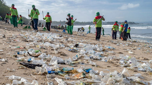 Wasteful single-use plastic continues to impact our oceans and beaches.