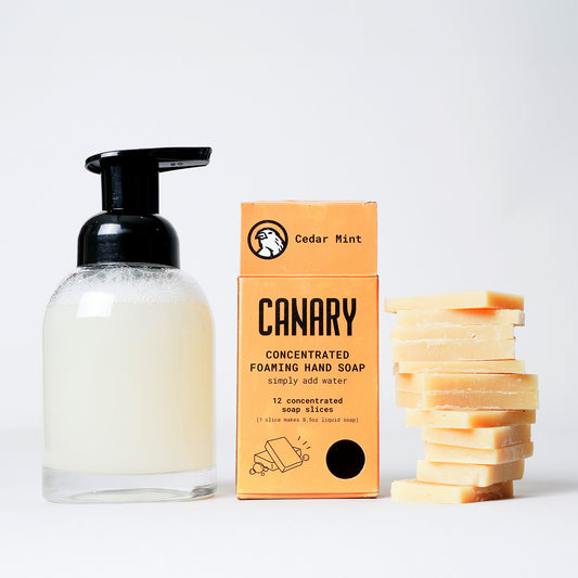 Cedar Mint Concentrated Foaming Hand Soap. Front of the box with stack of 12 slices on the side and bottle of soap. 12-count box. 