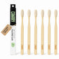 6 Canary Plant Based Bamboo Toothbrush with packaging next to product.