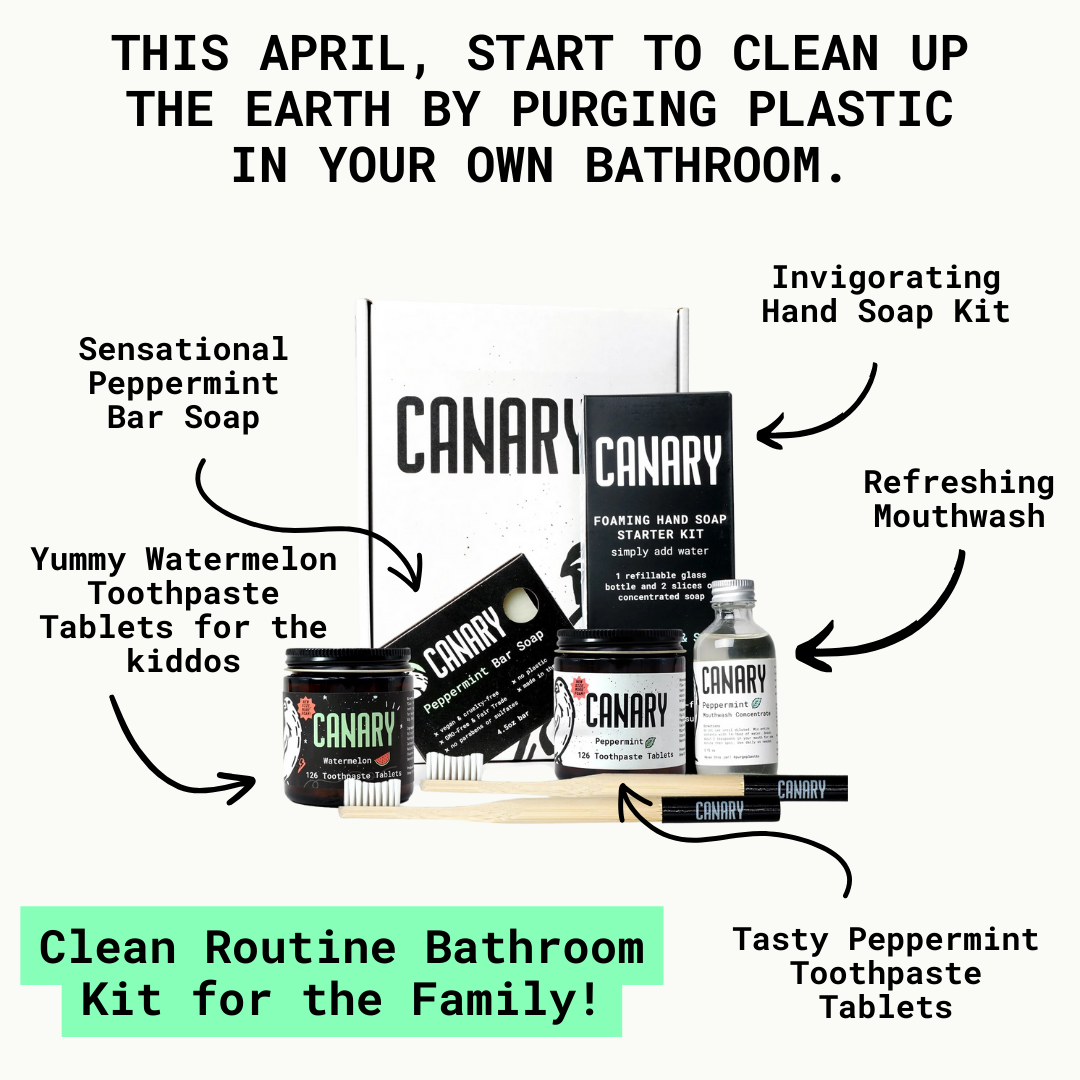 Image of all of the products and box it comes in, highlighting the features. Peppermint Toothpaste Tablets, Watermelon Toothpaste Tablets, Concentrated mouthwash, 2 Bamboo Toothbrushes, Peppermint Bar Soap, Concentrated Foaming Hand Soap Starter Kit