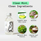 Canary Peppermint mouthwash concentrate with clean ingredients next to product. 