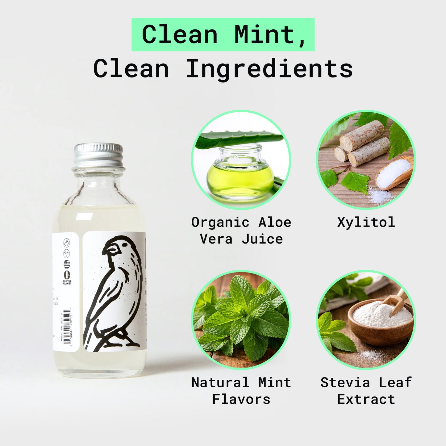 Canary Peppermint mouthwash concentrate with clean ingredients next to product. 